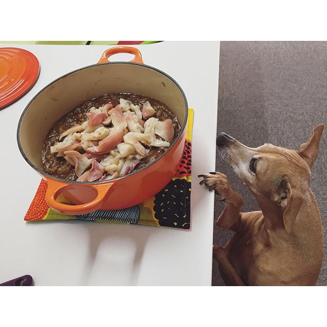 ホッキカレーとディノ子