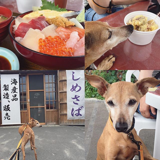 海鮮丼とタコザンギとディノ子