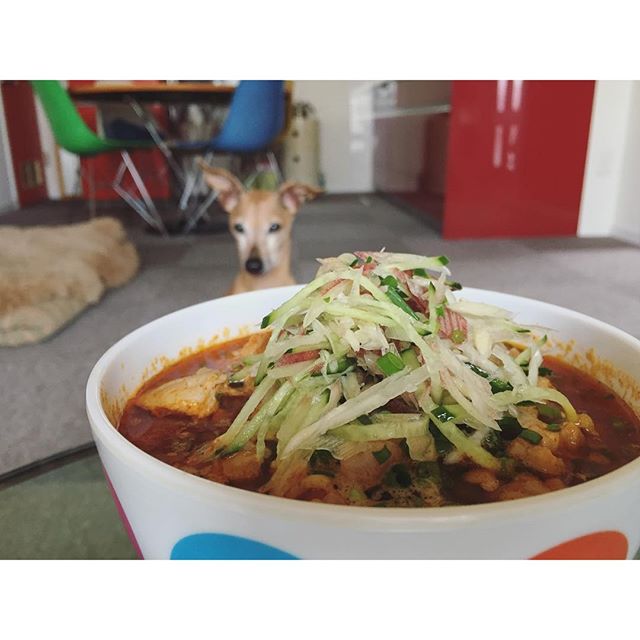 トムヤムクンラーメンと犬