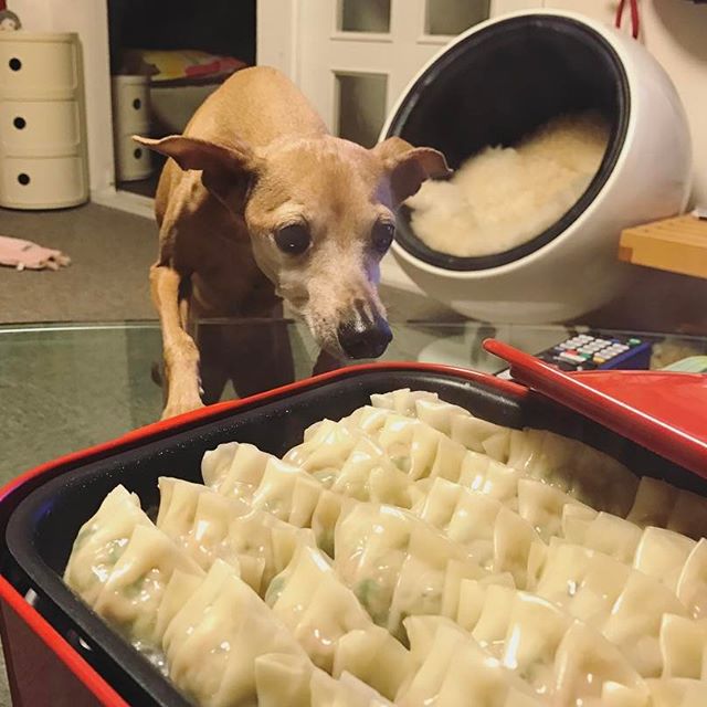 餃子の焼け具合を確認中