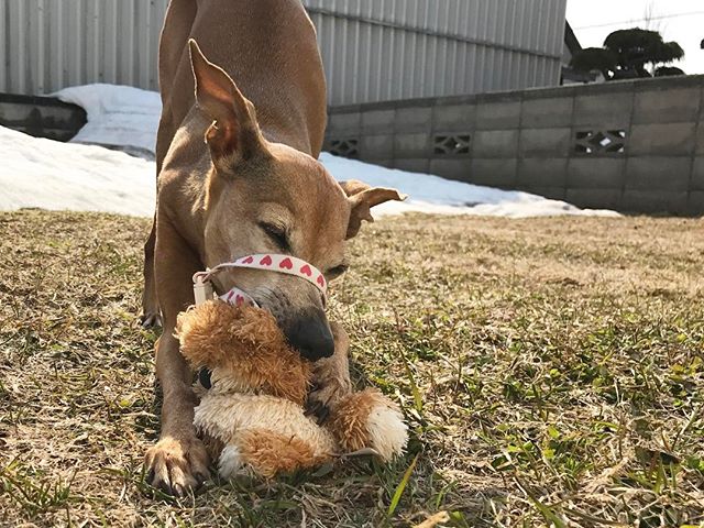 庭モグモグ中